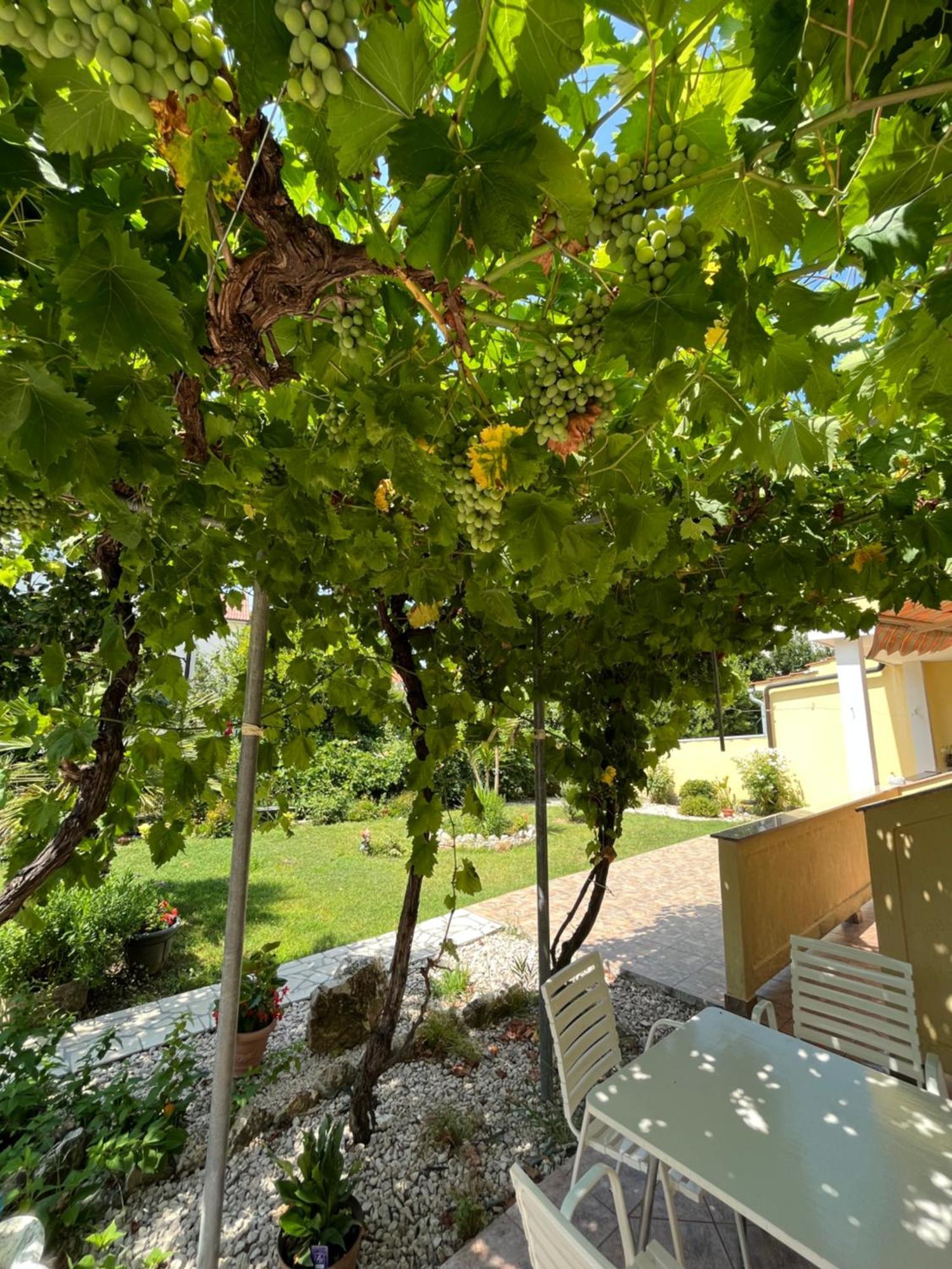 Apartments And Rooms Markovski Palit Екстериор снимка